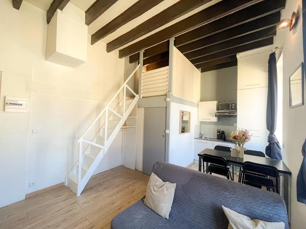 Suite Bertone Lyon Apartment