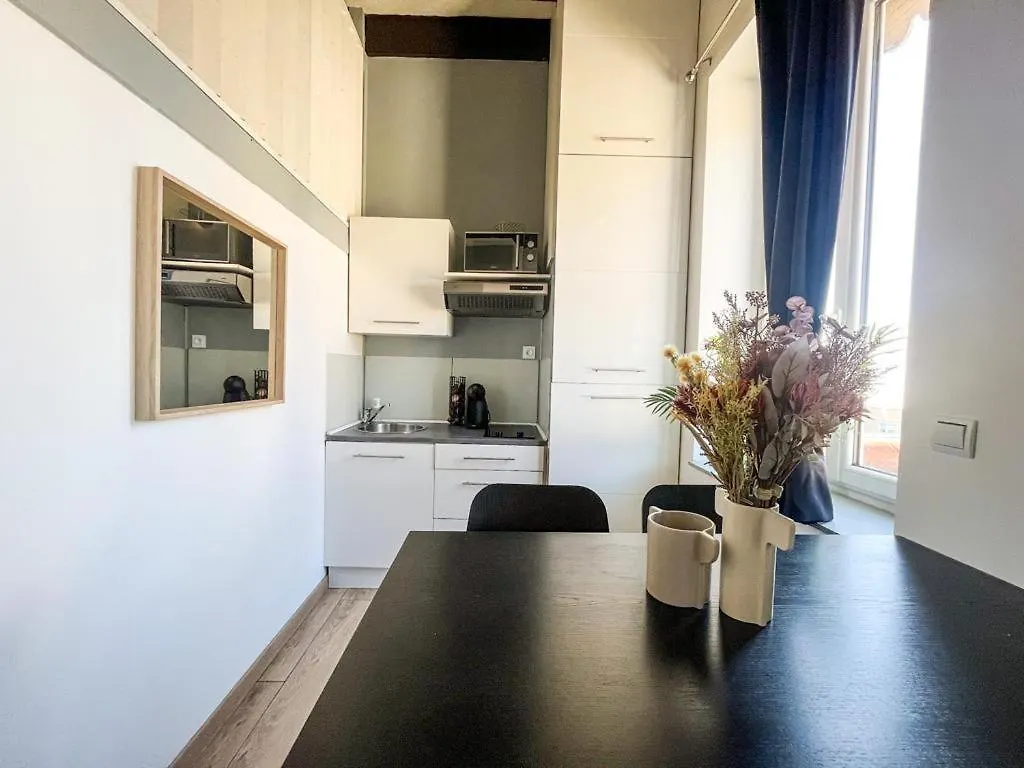 Apartment Suite Bertone Lyon